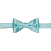 Egara Pre-Tied Formal Bow Tie, Aqua -&Collar Shop MW40 8VJA 31 EGARA AQUA MAIN